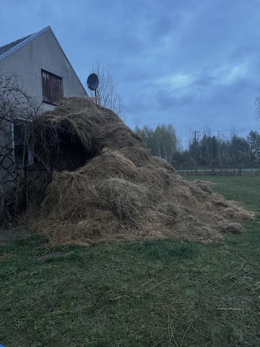 Oddam stare siano ze słomą