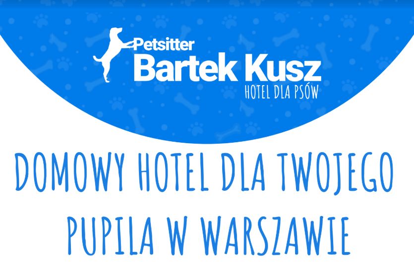 Petsitter Domowy Hotel Dla Psa