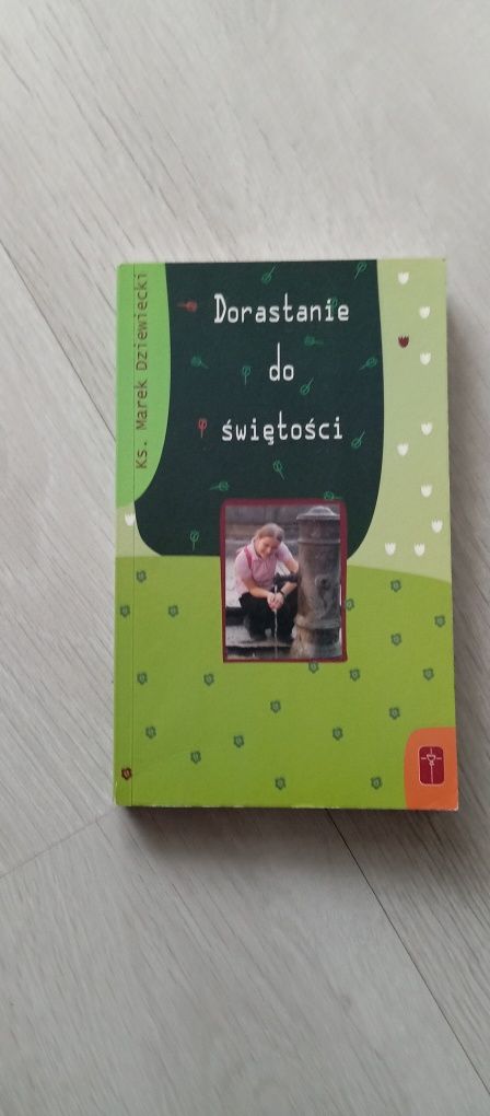 Ks. Marek Dziewiecki, Dorastanie do świętości
Okładka miękka 
Stan bar