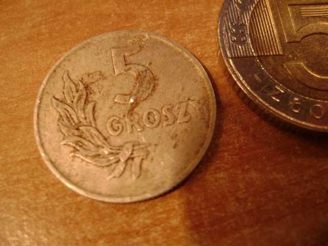 Starocie z PRL - Stare monety polskie = 5 groszy 1949r. Destrukt