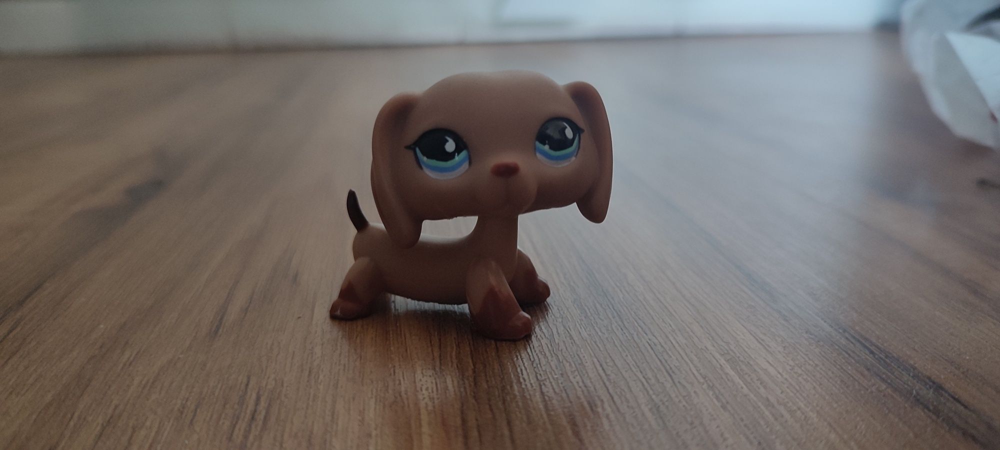 Littlest pet shop pop jamnik