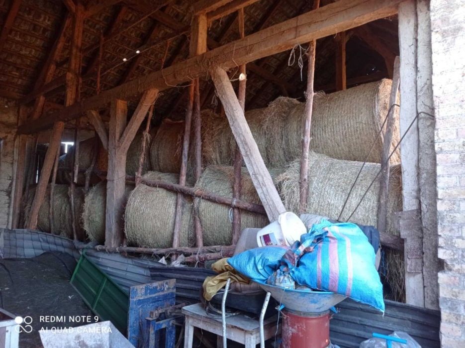 Sprzedam Siano pierwszy pokos 2025