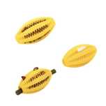 Interactive chew toy for learning and dental cleaning