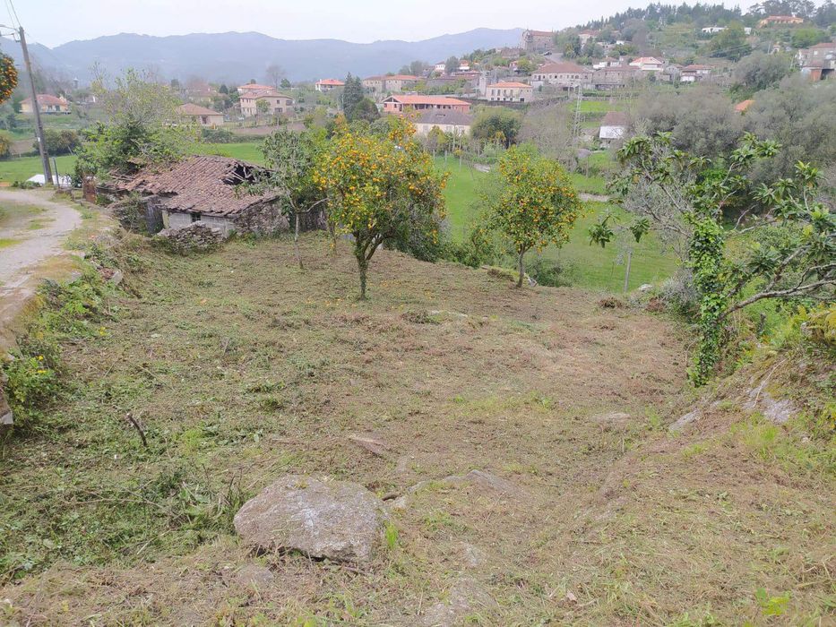 Fernando pires agente imobiliário da Remax like