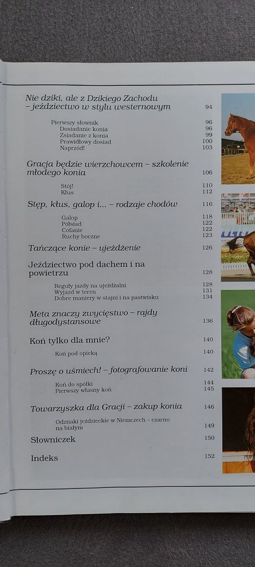 Jazda konna koń jezdziectwo