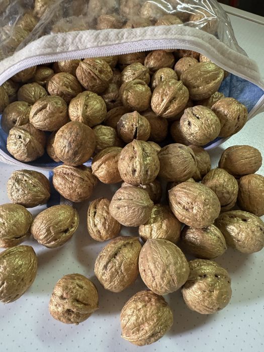 Горіх грецький золотий декоративний фарбований(порожній)