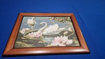 Quadro meio ponto Cisnes (60cm por 47cm)