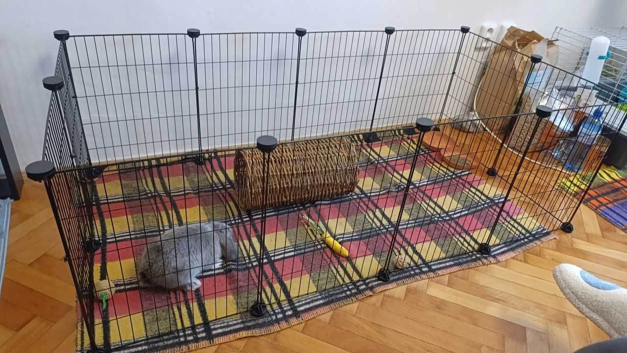 Klatka dla gryzoni królików świnki morskiej psa kota NOWA modułowa