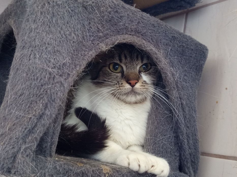 Christiane rozgląda się za domkiem