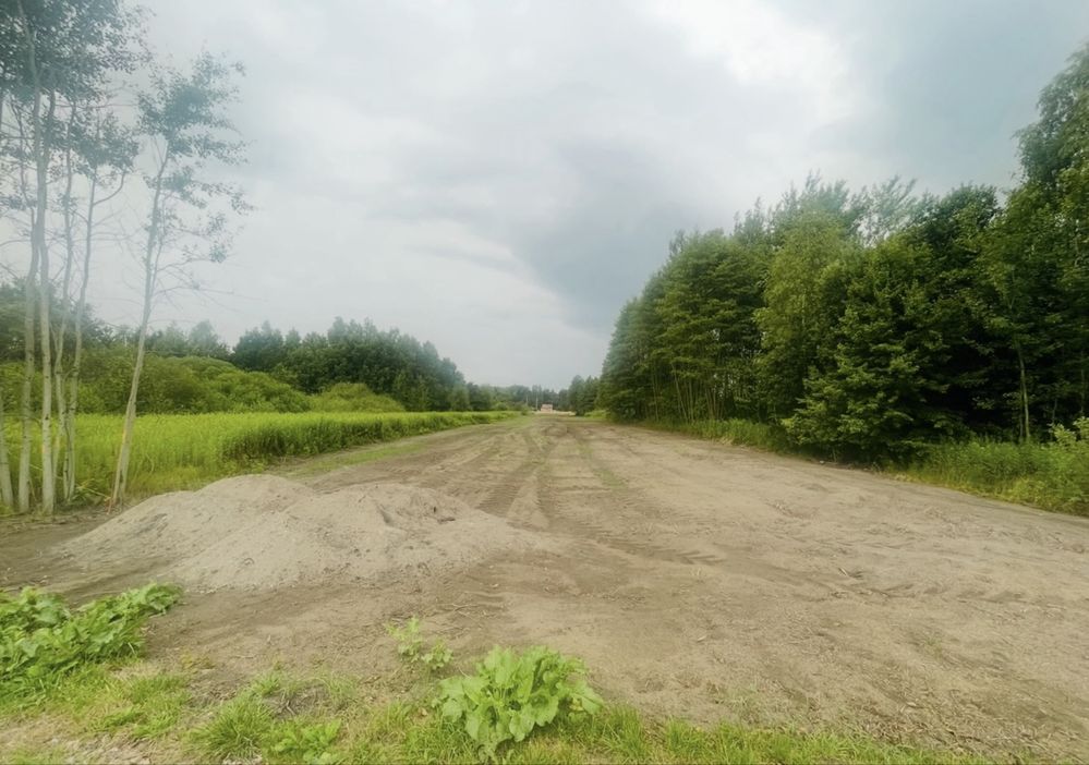 Wynajem rębaka z operatorem, rębak do gałęzi, wycinki, mulczowanie