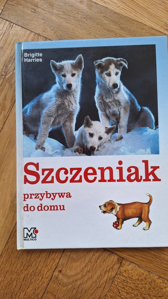 Szczeniak przybywa do domu Brigitte Harries