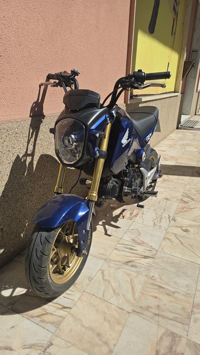 Honda msx 125 grom