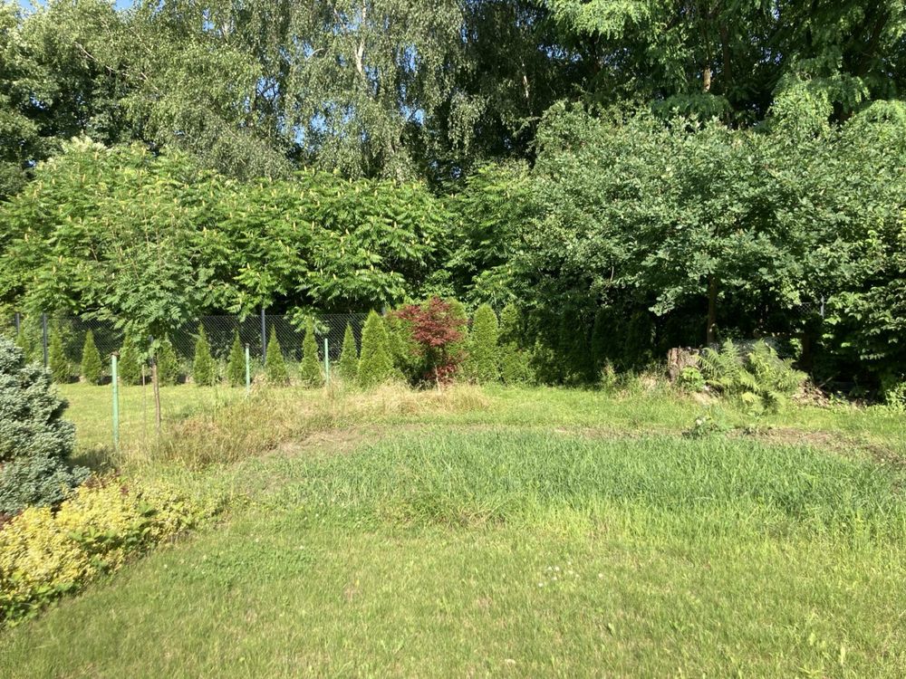 Działka ROD, ogródek działkowy