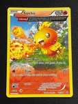 Carta Pokémon Torchic 26/160 Primal Clash