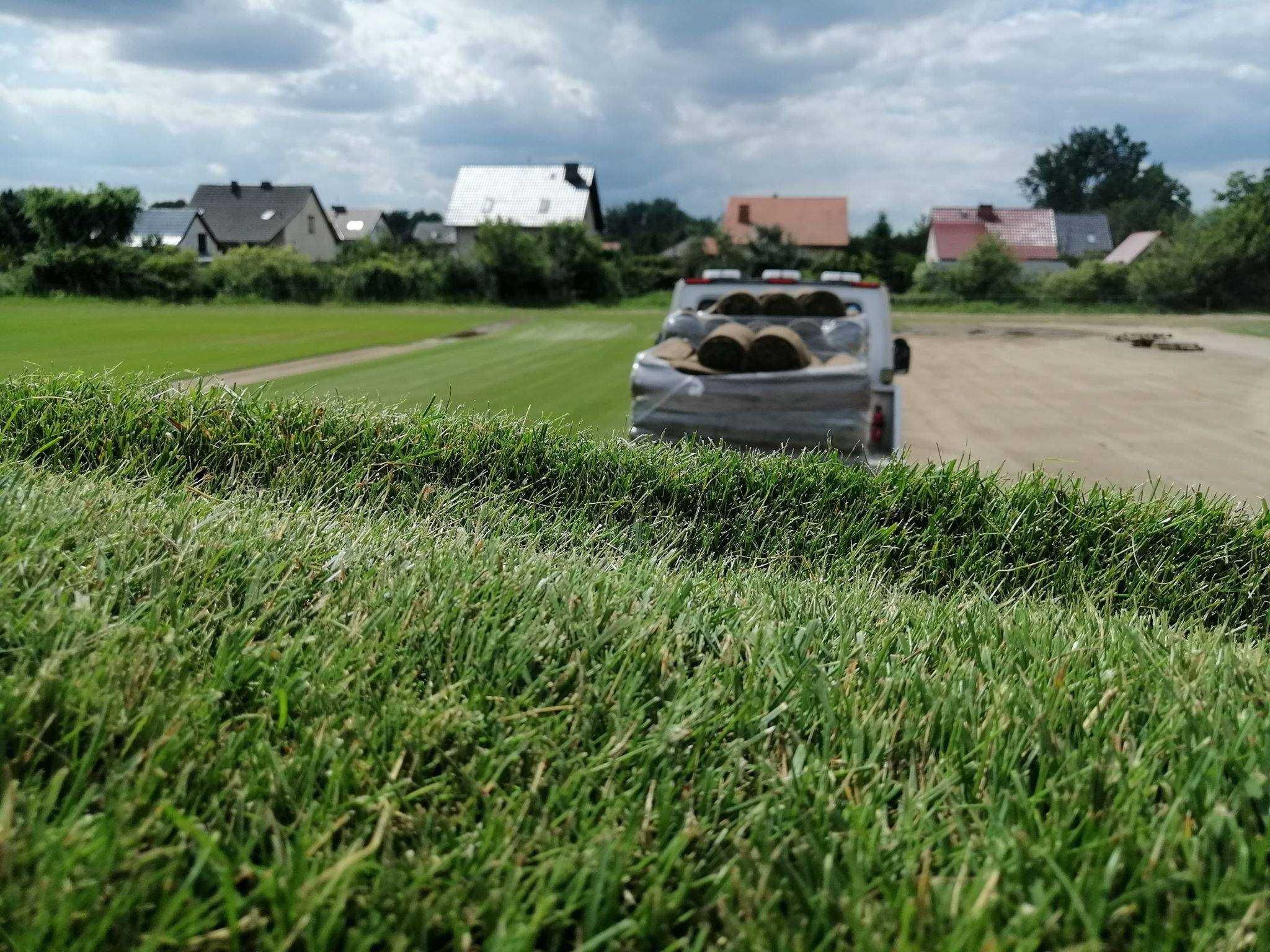 Trawa  z  rolki , gęsta - efekt natychmiastowy