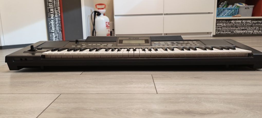 Keyboard Roland E-09