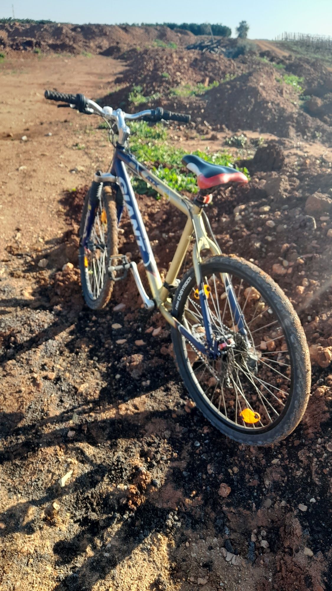 Bicicleta giant quadro alumínio