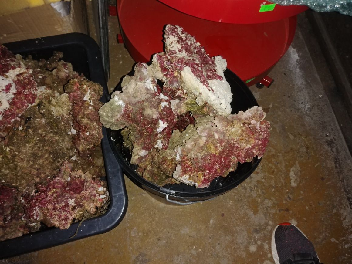 Real reef rock skala syntetyczna USA TOP akwarium morskie