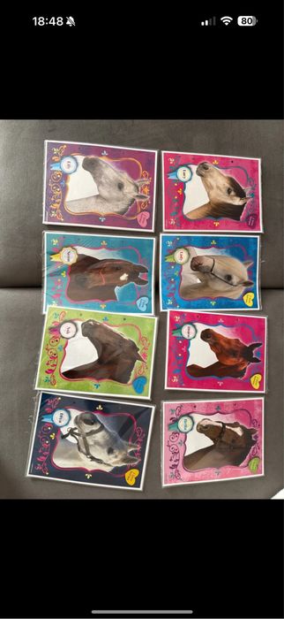 Wklady do segregatora a5