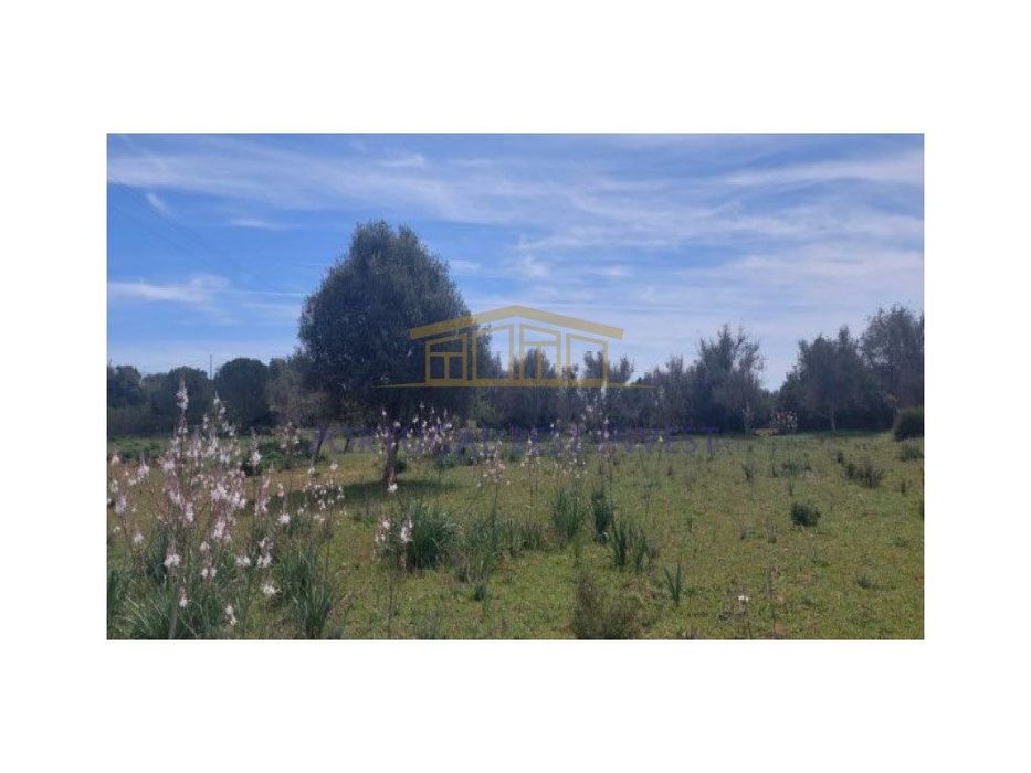 Terreno agrícola na Guia, Albufeira