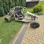 Buggy cb1000r 125KM.