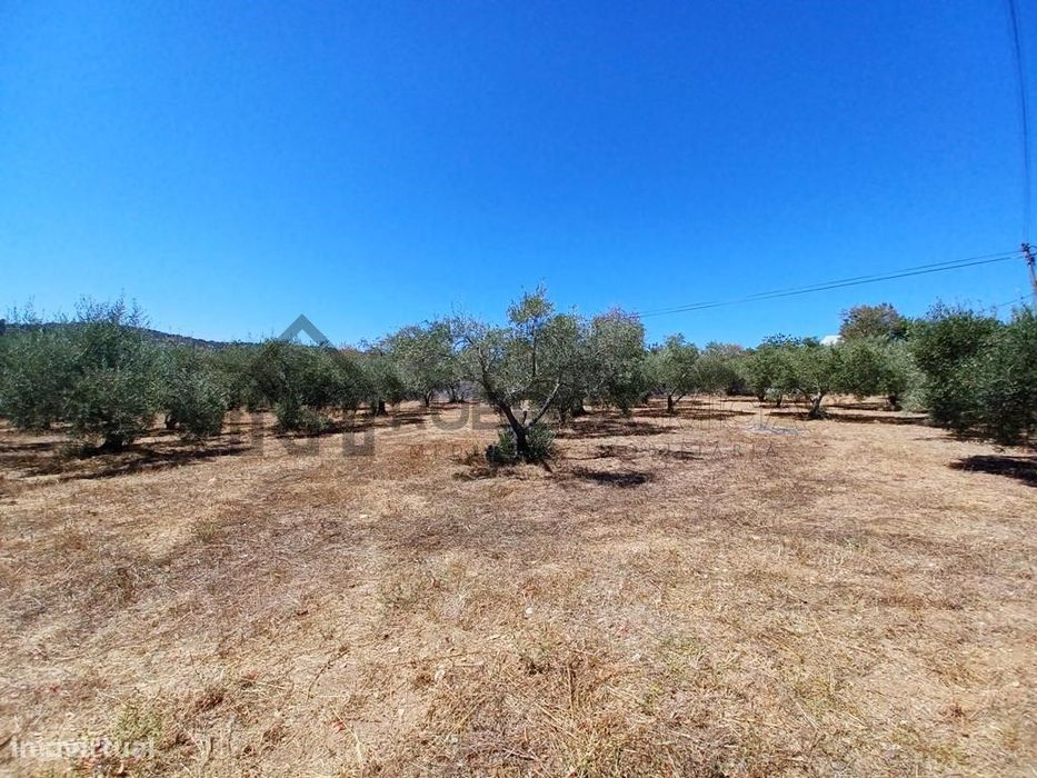 Terreno para construção de 2 moradias - São Brás de Alportel