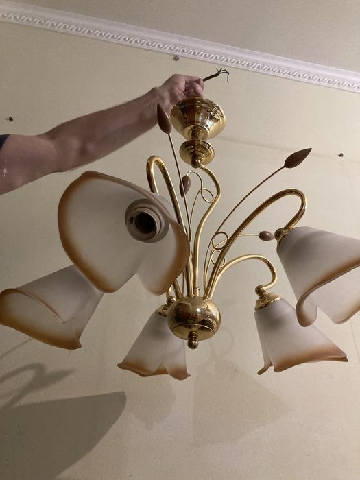 Люстра з плафонами на пʼять ламп