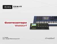 Синтезатори Waldorf | ВСІ МОДЕЛІ