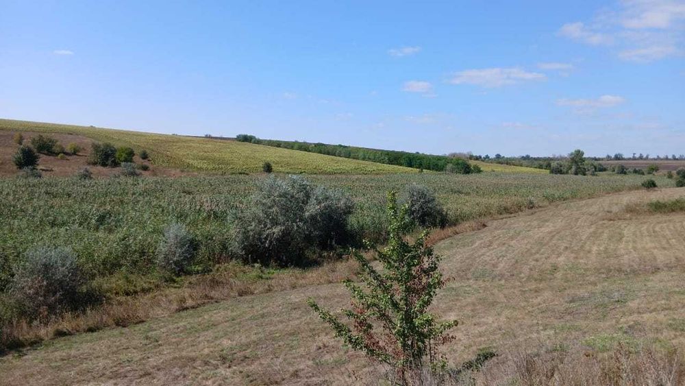 Оренда земельної ділянки водного фонду, площею 6,0000 га.