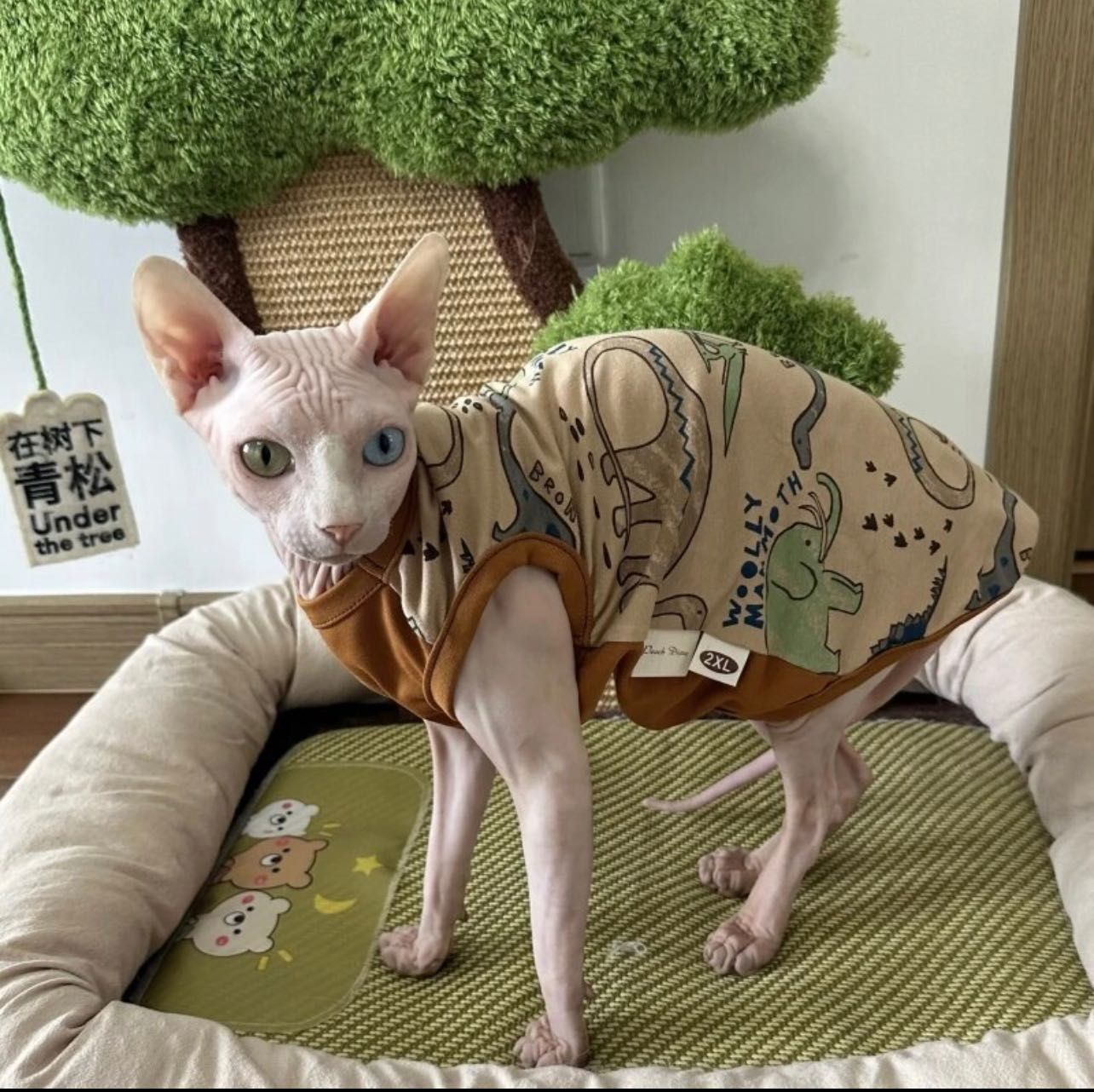 Одежда для сфинкса для котят одяг для кота