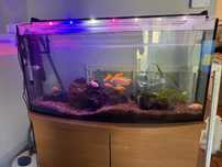 Akwarium 170l dobry stan warto !!!