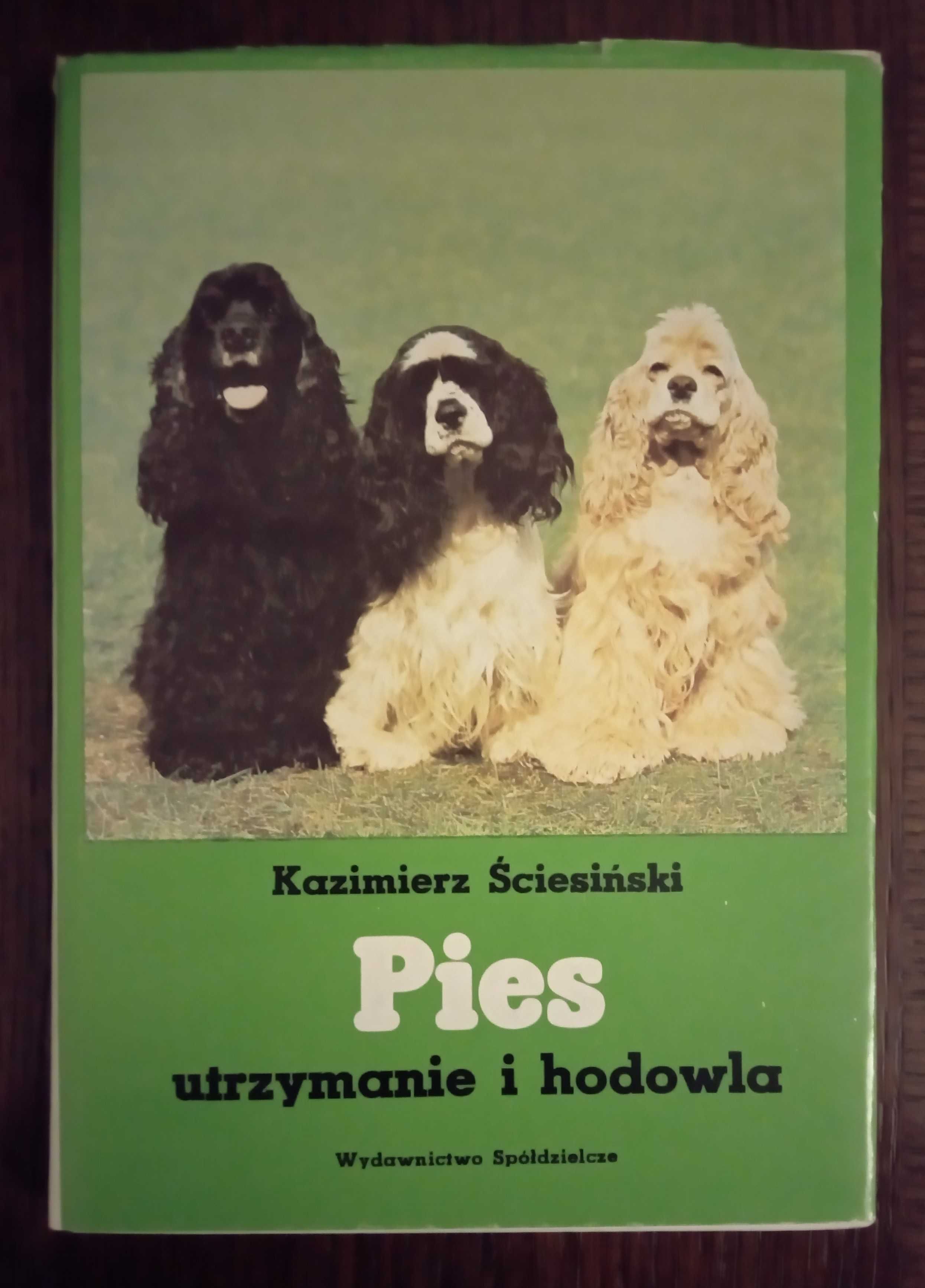 Pies. Utrzymanie i hodowla - Kazimierz Ściesiński