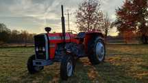Massey Ferguson MF 255 Rok 1988 Po Remoncie Zadbany URSUS 3512 MF 235