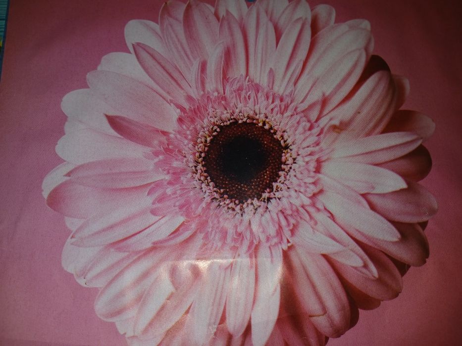 Ищу Друга для общения