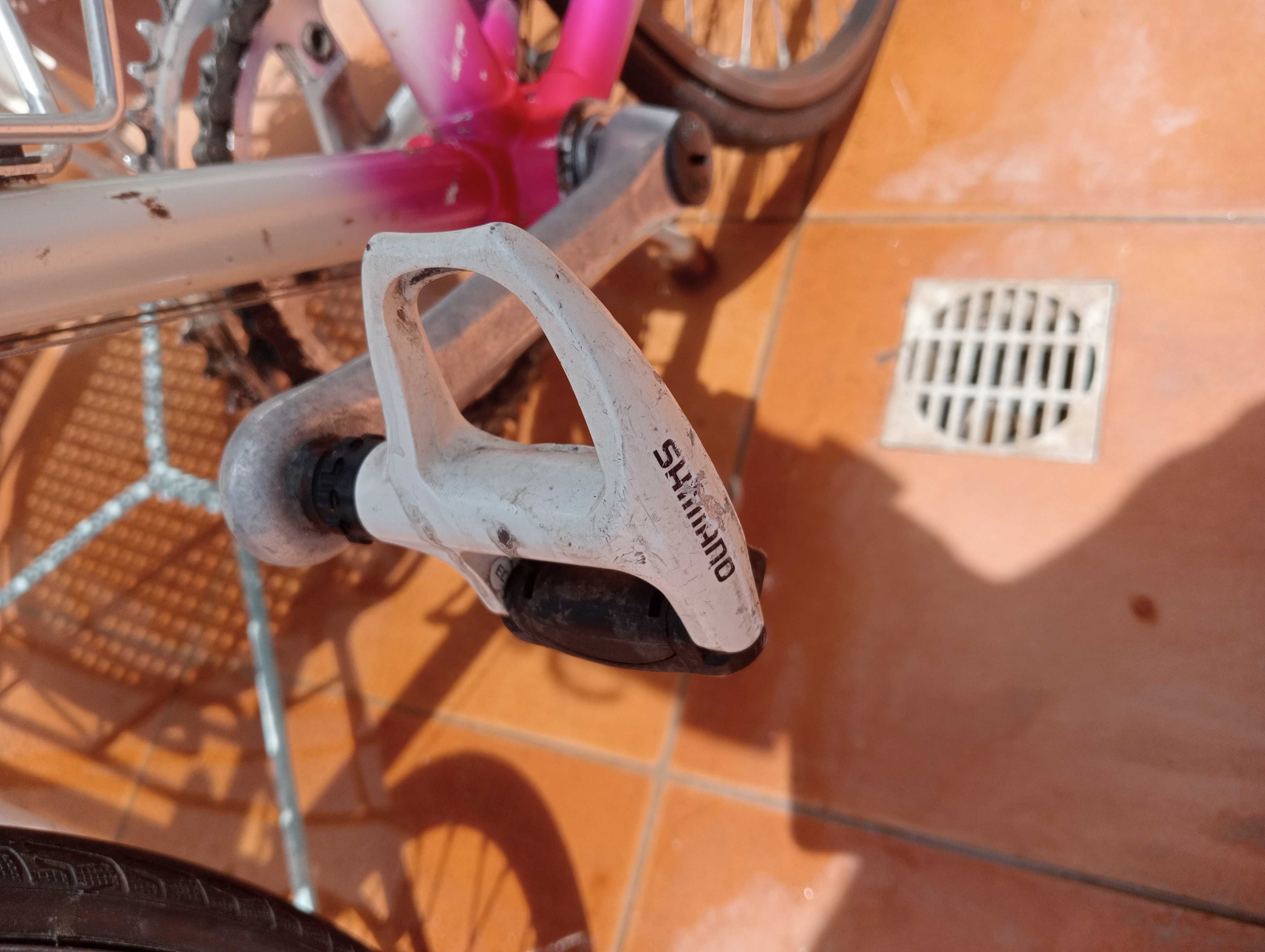 Bicicleta pista vintage