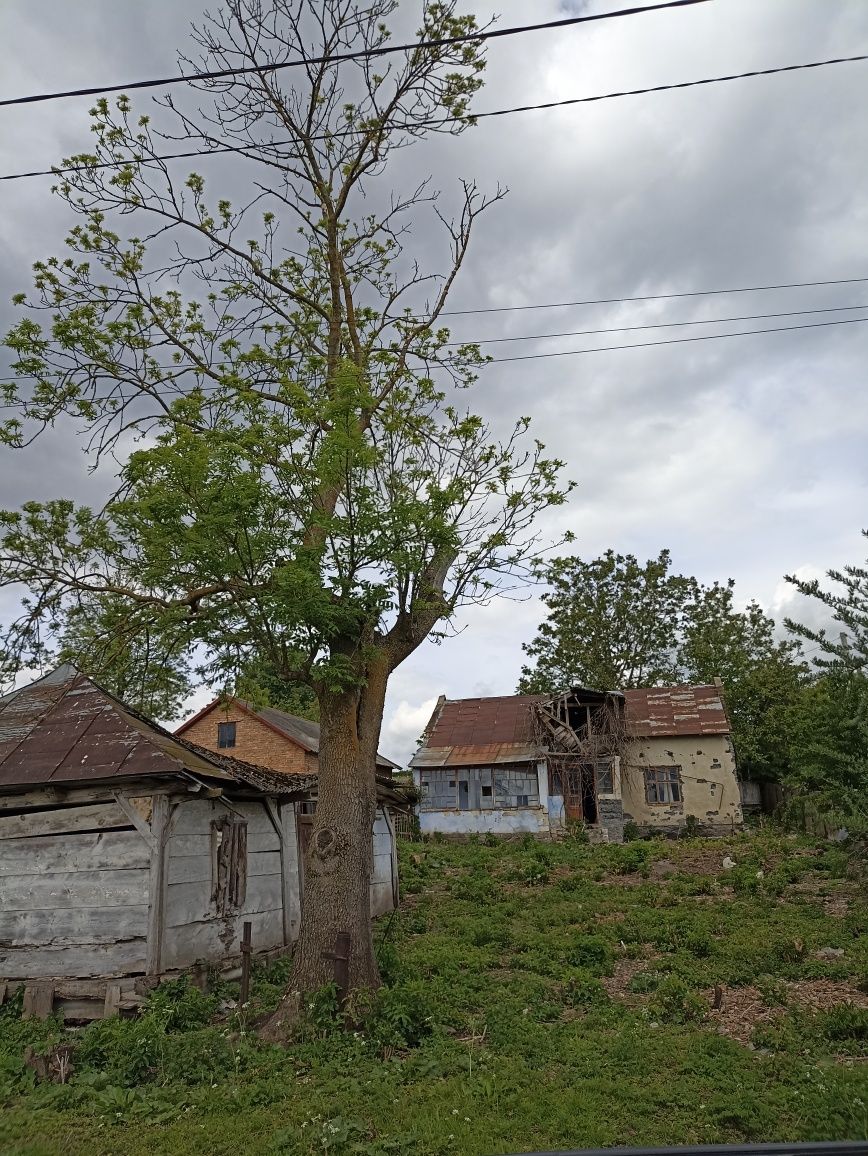 Ділянка під будівництво