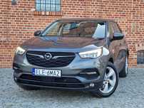 Opel Grandland X  1.6 T PHEV Edition Business / 2021 r