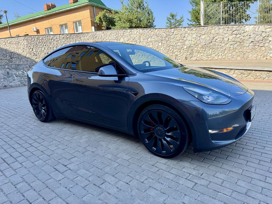Tesla Y Performence