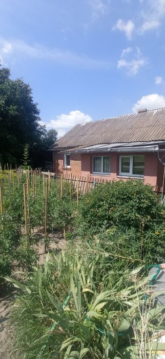 Будинок в с.Лісові Гринівці