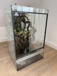 Terarium 80x50x50 z wyposażeniem