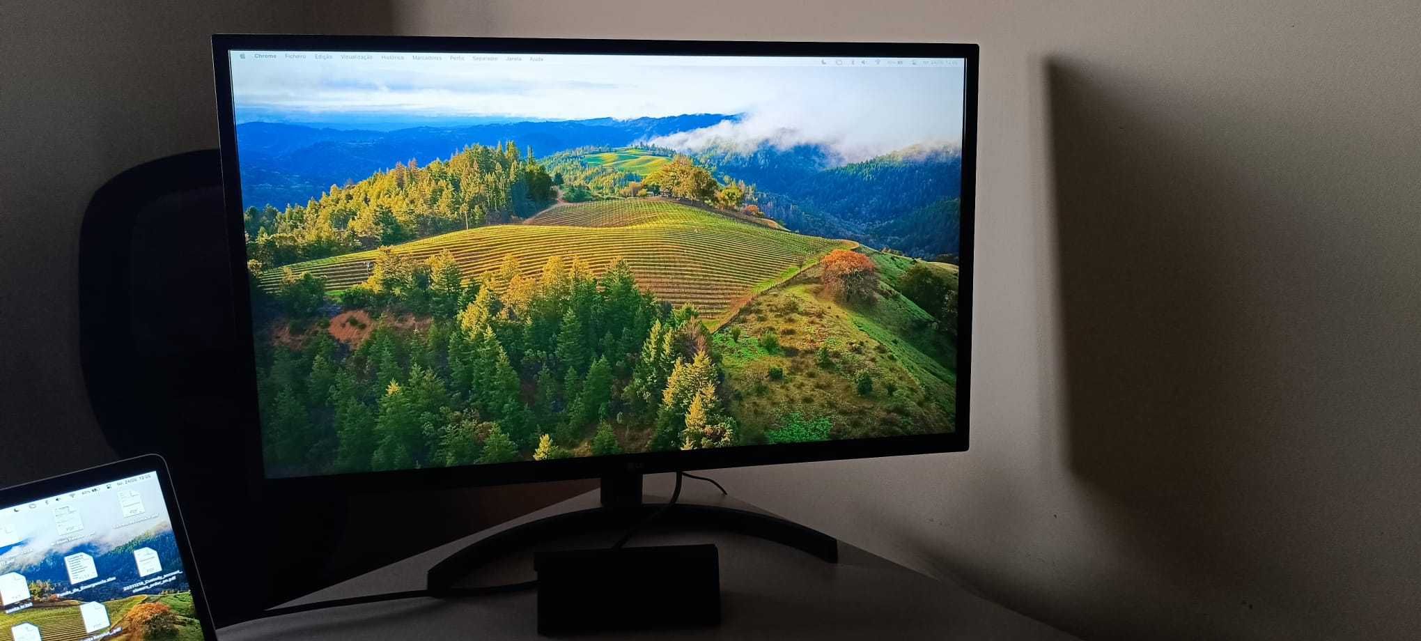 Monitor LG 32MN500M-B (32'' - Full HD - IPS)