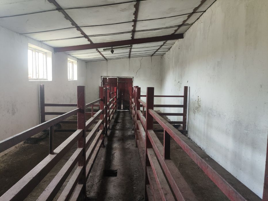 Оренда забійно-холодильного комплекса