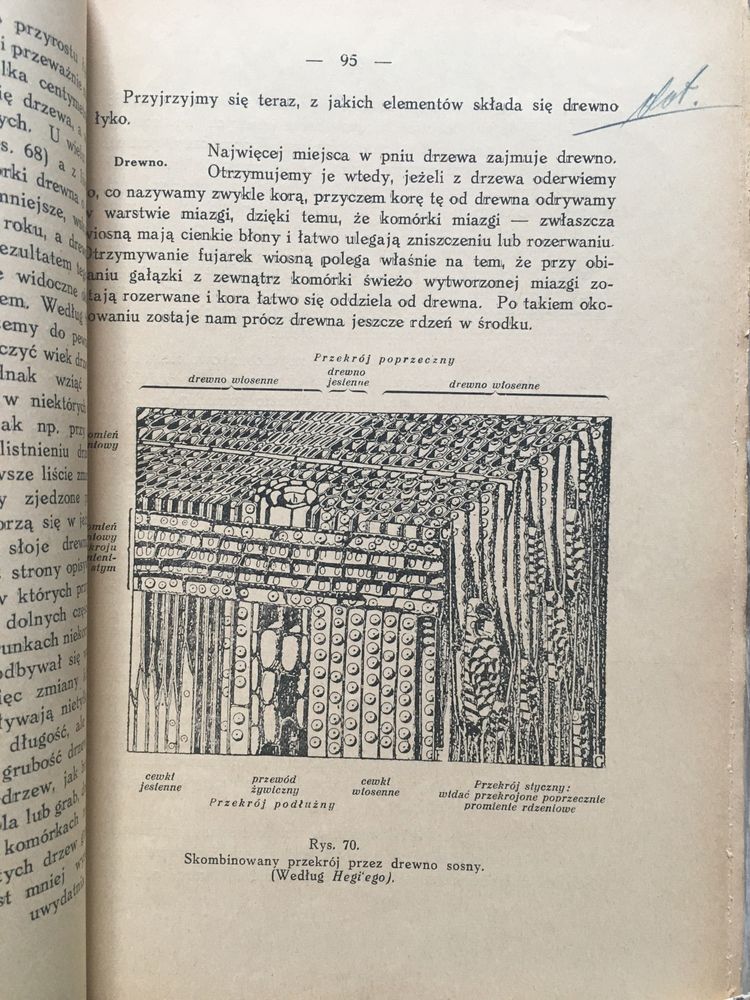 Przewodnik dla leśniczych cz. III botanika 1936 leśnictwo