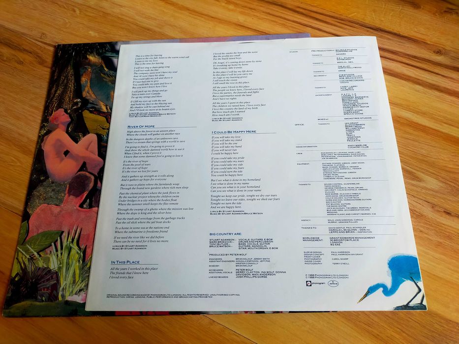 Big Country - Peace In Our Time. Winyl