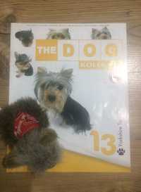 The Dog numer 13