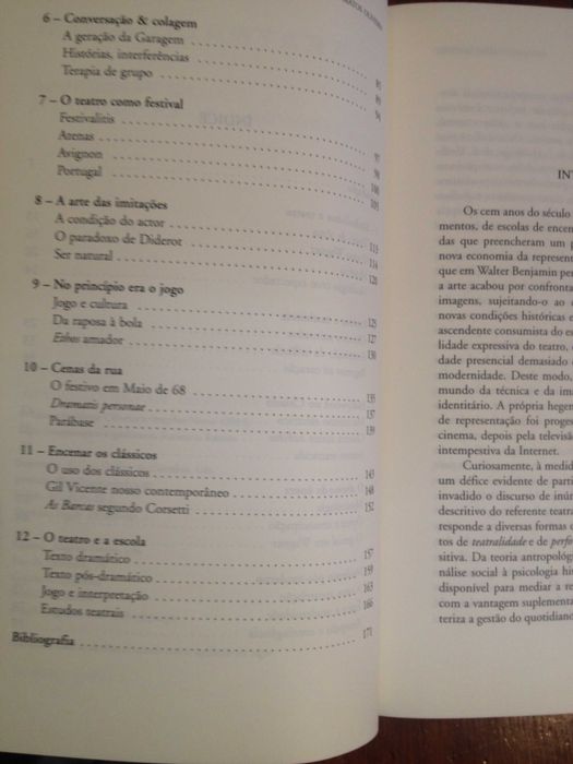 Fernando Matos Oliveira - Teatralidades