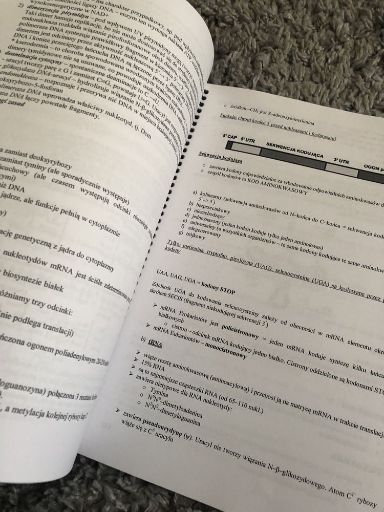 Skrypt Biochemia 2.0