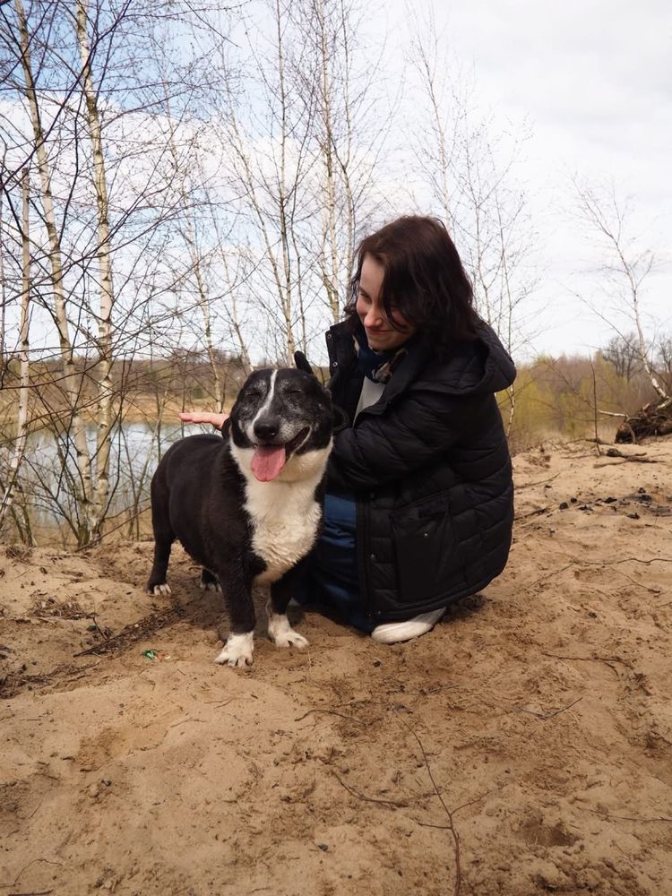 Fedor-cudowny starszy niskopodłogowy psiak do pilnej adopcji
