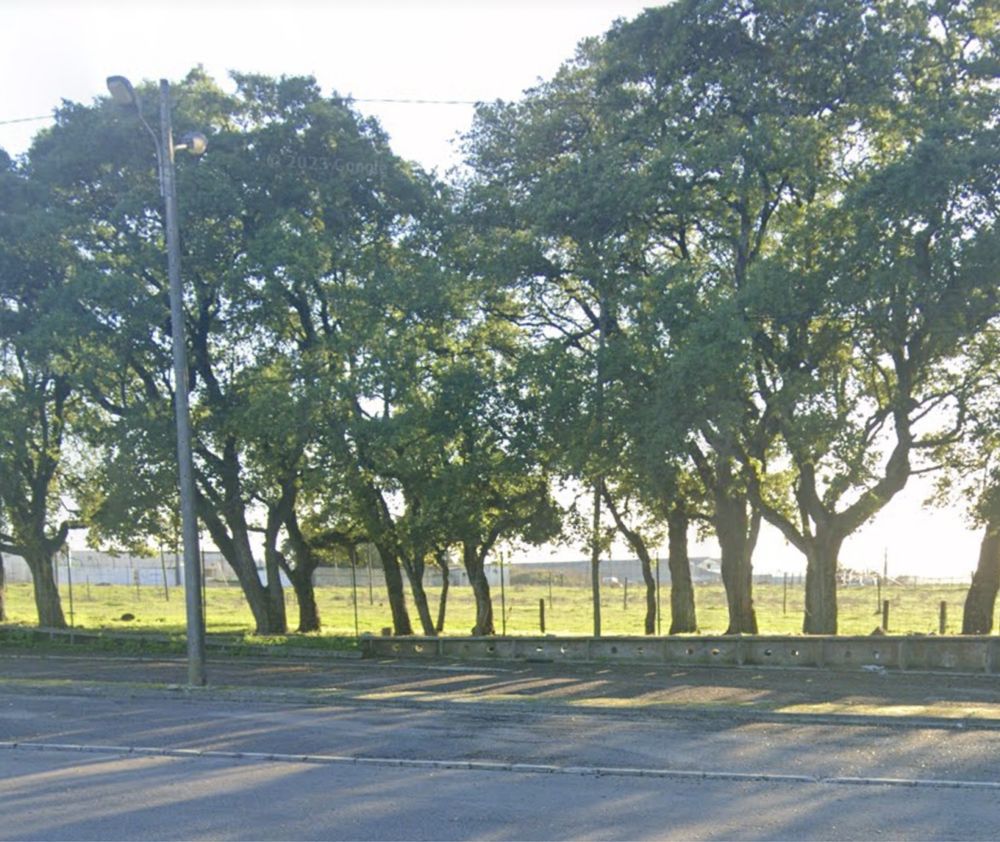 Terreno para arrendamento para estaleiro ou parque