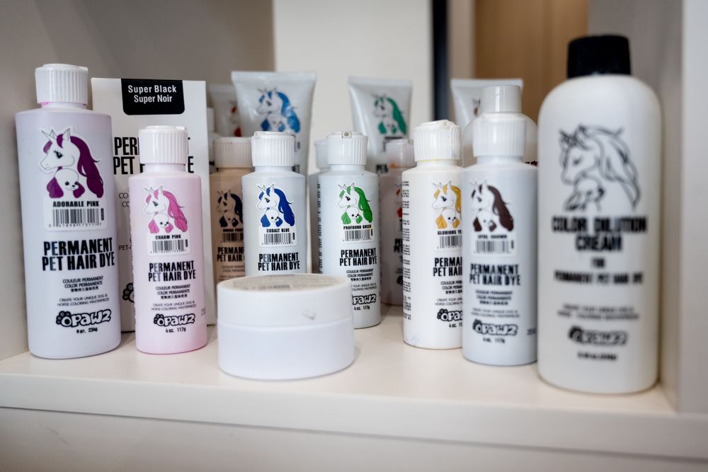 Стрижка тварин. Собак і котиків. Креатив.